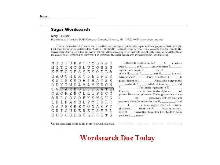 Wordsearch Due Today 