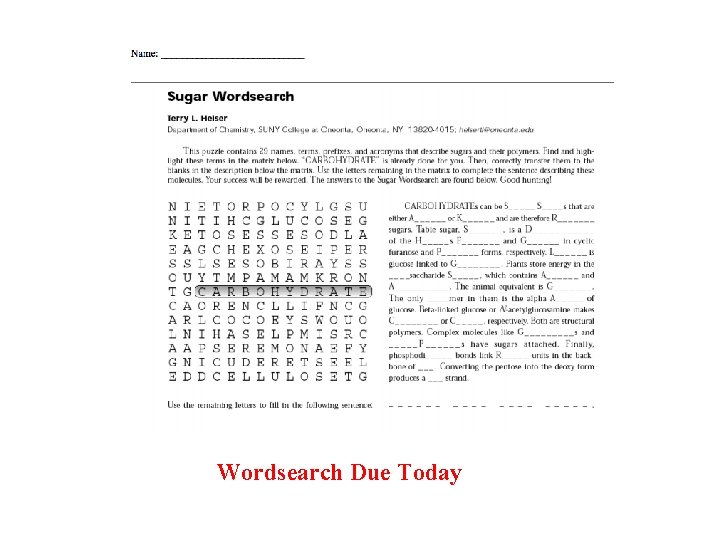 Wordsearch Due Today 