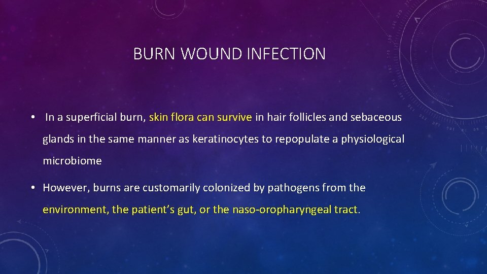 BURN WOUND INFECTION • In a superficial burn, skin flora can survive in hair BURN WOUND INFECTION • In a superficial burn, skin flora can survive in hair