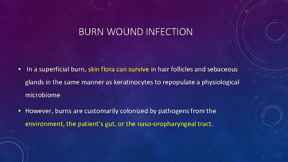 BURN WOUND INFECTION • In a superficial burn, skin flora can survive in hair