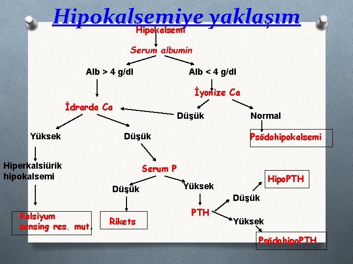 Hipokalsemiye yaklaşım Hipokalsemi Serum albumin Alb > 4 g/dl Alb < 4 g/dl İyonize