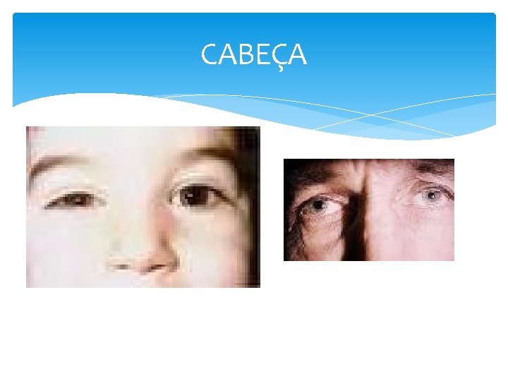CABEÇA 