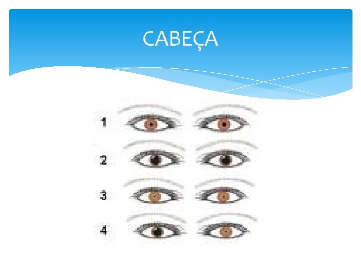 CABEÇA 