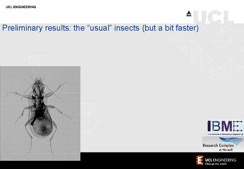 Preliminary results: the “usual” insects (but a bit faster) 