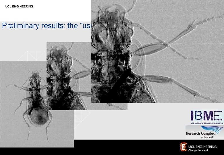 Preliminary results: the “usual” insects (but a bit faster) 