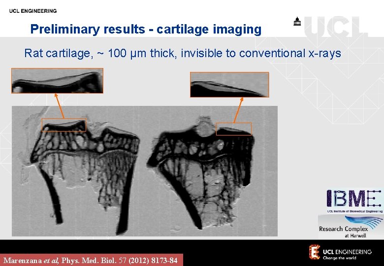 Preliminary results - cartilage imaging Rat cartilage, ~ 100 µm thick, invisible to conventional