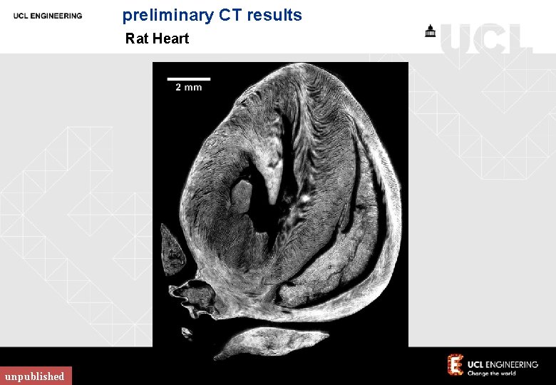 preliminary CT results Rat Heart unpublished 