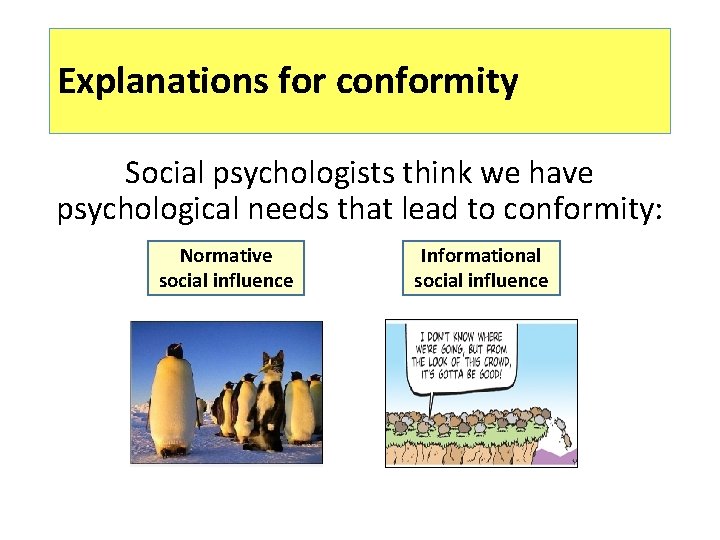 Explanations for conformity Social psychologists think we have psychological needs that lead to conformity: