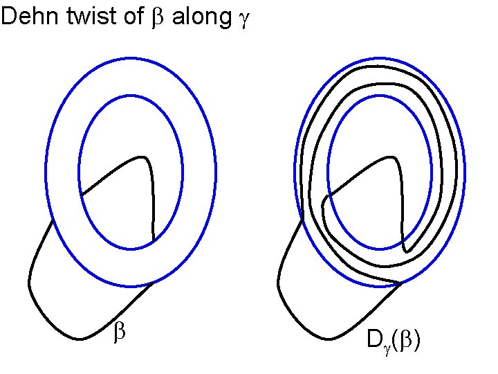 Dehn twist of along D ( ) 