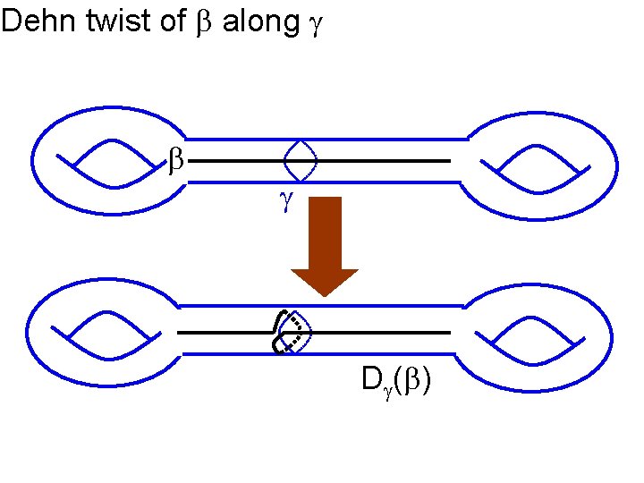 Dehn twist of along D ( ) 