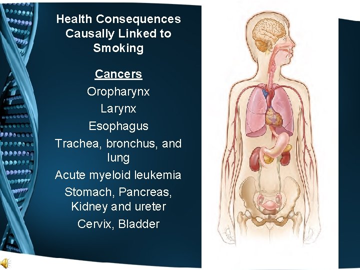 Health Consequences Causally Linked to Smoking Cancers Oropharynx Larynx Esophagus Trachea, bronchus, and lung