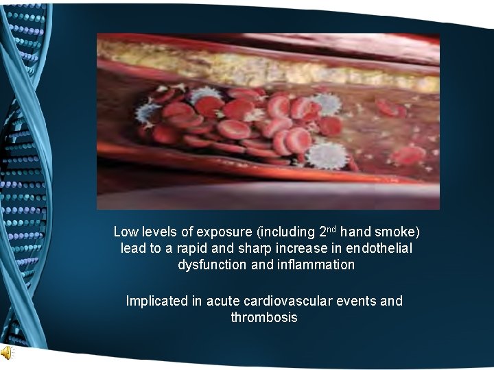 Low levels of exposure (including 2 nd hand smoke) lead to a rapid and