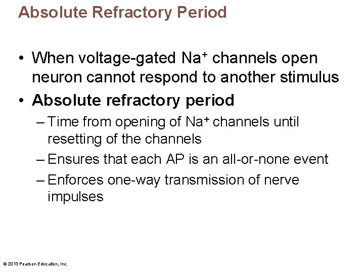 Absolute Refractory Period • When voltage-gated Na+ channels open neuron cannot respond to another