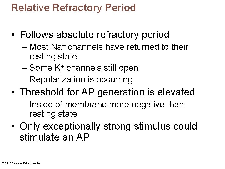 Relative Refractory Period • Follows absolute refractory period – Most Na+ channels have returned