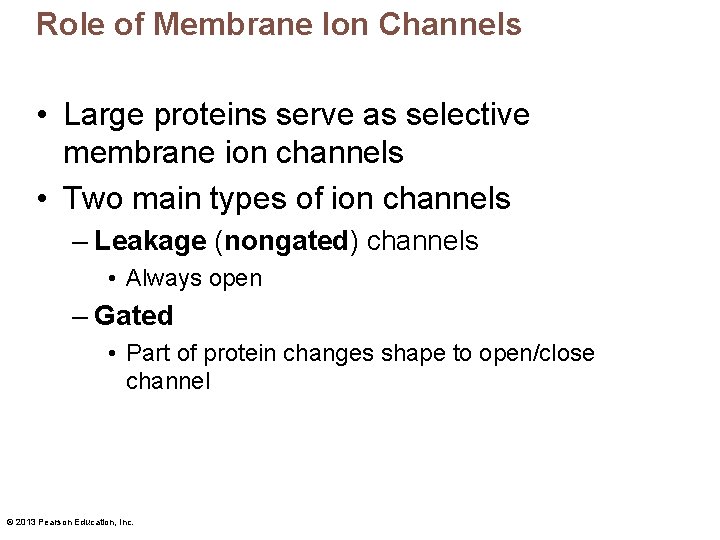 Role of Membrane Ion Channels • Large proteins serve as selective membrane ion channels