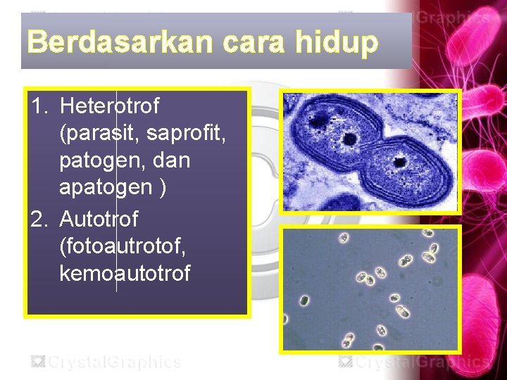 Berdasarkan cara hidup 1. Heterotrof (parasit, saprofit, patogen, dan apatogen ) 2. Autotrof (fotoautrotof,