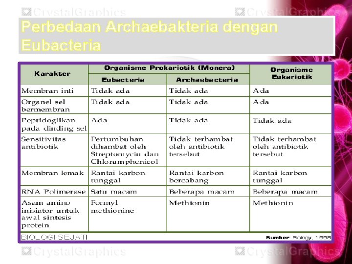 Perbedaan Archaebakteria dengan Eubacteria 