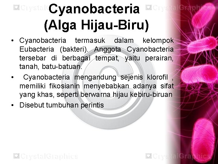 Cyanobacteria (Alga Hijau-Biru) • Cyanobacteria termasuk dalam kelompok Eubacteria (bakteri). Anggota Cyanobacteria tersebar di