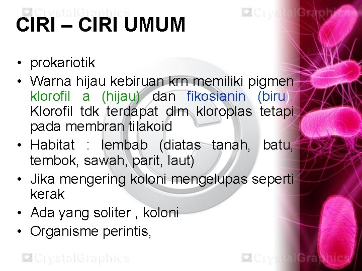 CIRI – CIRI UMUM • prokariotik • Warna hijau kebiruan krn memiliki pigmen klorofil