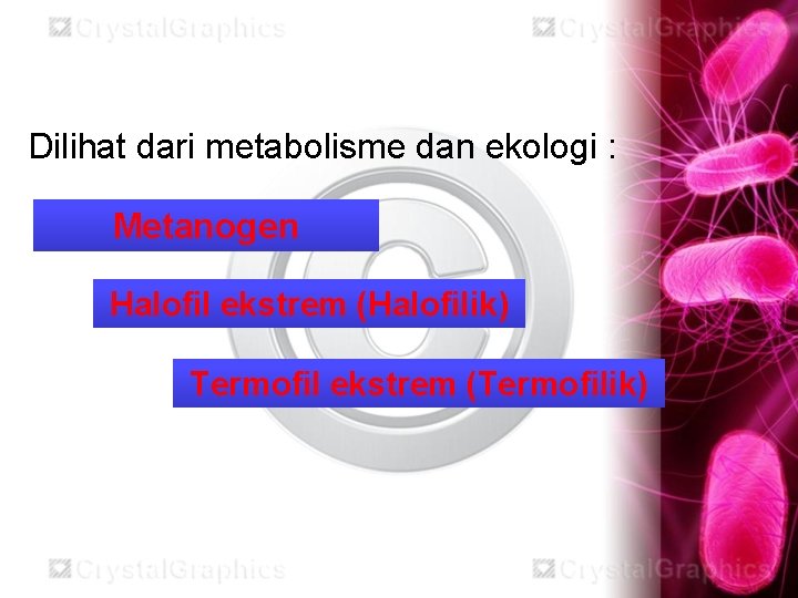 Dilihat dari metabolisme dan ekologi : Metanogen Halofil ekstrem (Halofilik) Termofil ekstrem (Termofilik) 
