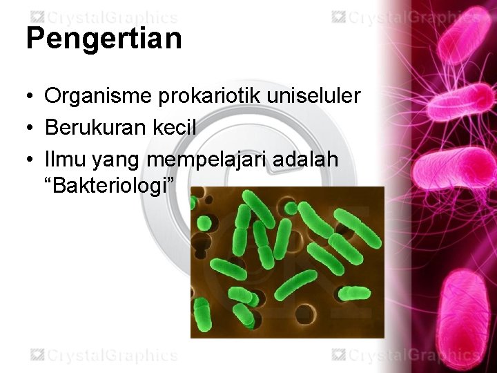 Pengertian • Organisme prokariotik uniseluler • Berukuran kecil • Ilmu yang mempelajari adalah “Bakteriologi”