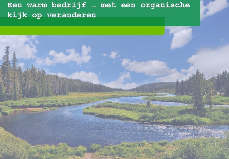 Een warm bedrijf … met een organische kijk op veranderen 5 