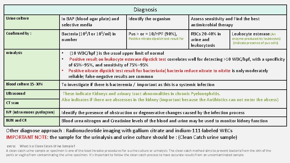 Diagnosis Urine culture In BAP (blood agar plate) and selective media Identify the organism