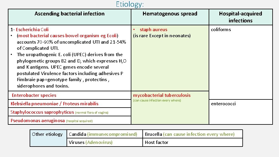 Etiology: Ascending bacterial infection Hematogenous spread 1 - Escherichia Coli • (most bacterial causes