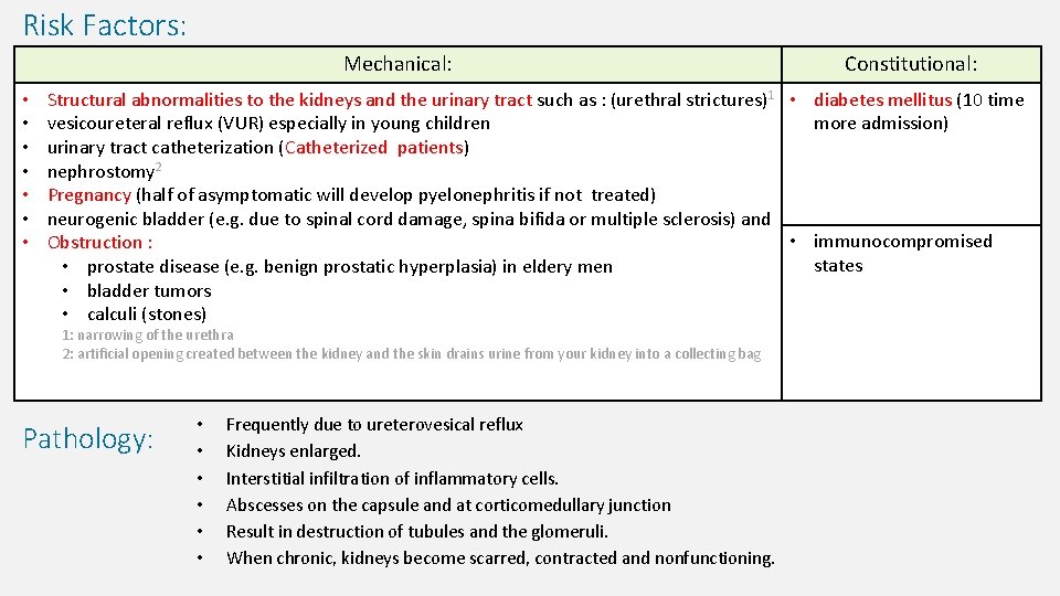 Risk Factors: Mechanical: • • Constitutional: Structural abnormalities to the kidneys and the urinary