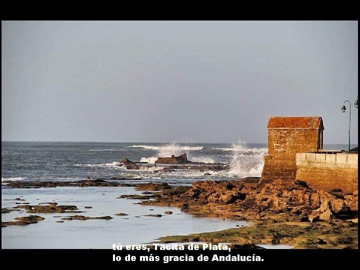 tú eres, Tacita de Plata, lo de más gracia de Andalucía. 