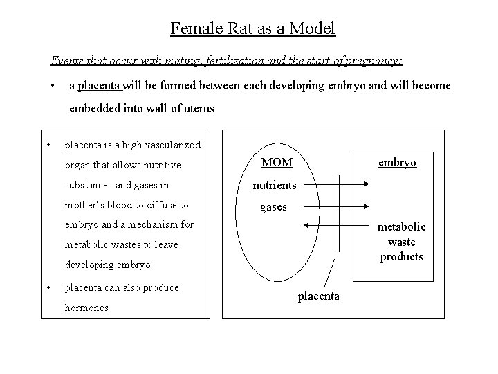 Female Rat as a Model Events that occur with mating, fertilization and the start