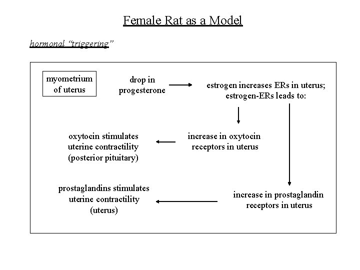 Female Rat as a Model hormonal “triggering” myometrium of uterus drop in progesterone oxytocin