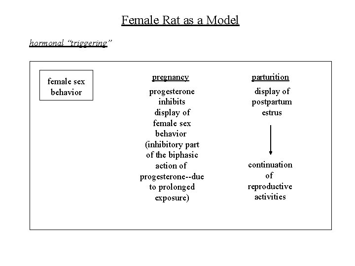 Female Rat as a Model hormonal “triggering” female sex behavior pregnancy parturition progesterone inhibits