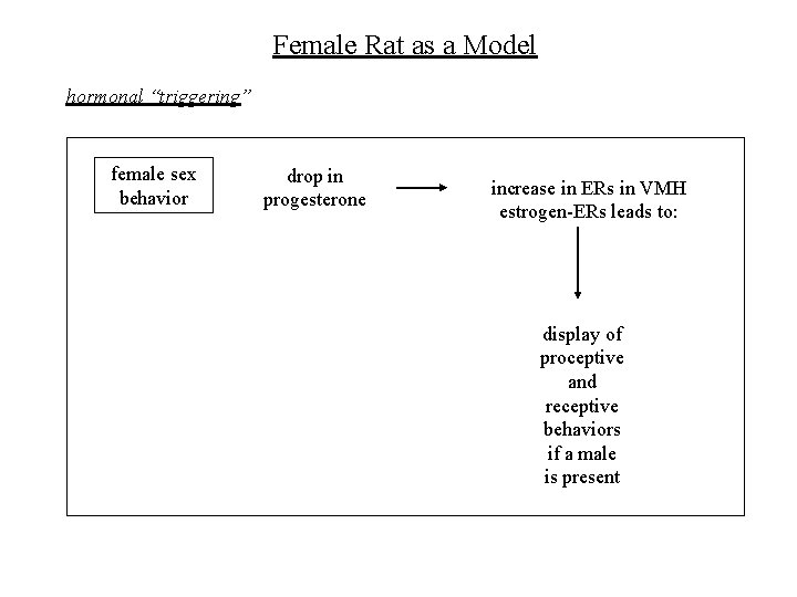 Female Rat as a Model hormonal “triggering” female sex behavior drop in progesterone increase