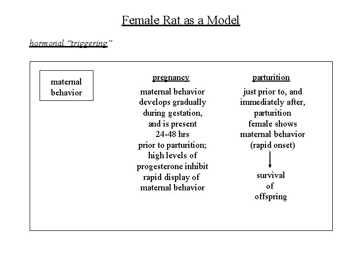 Female Rat as a Model hormonal “triggering” maternal behavior pregnancy parturition maternal behavior develops