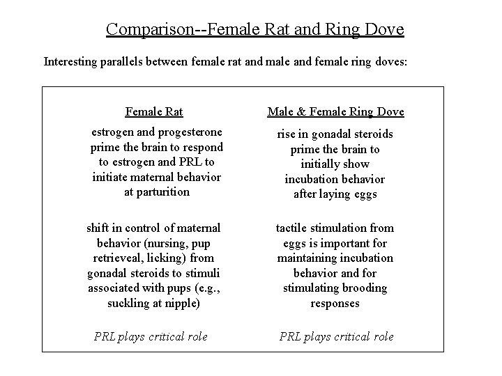 Comparison--Female Rat and Ring Dove Interesting parallels between female rat and male and female