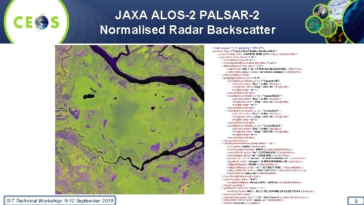 JAXA ALOS-2 PALSAR-2 Normalised Radar Backscatter SIT Technical Workshop: 9 -12 September 2019 8