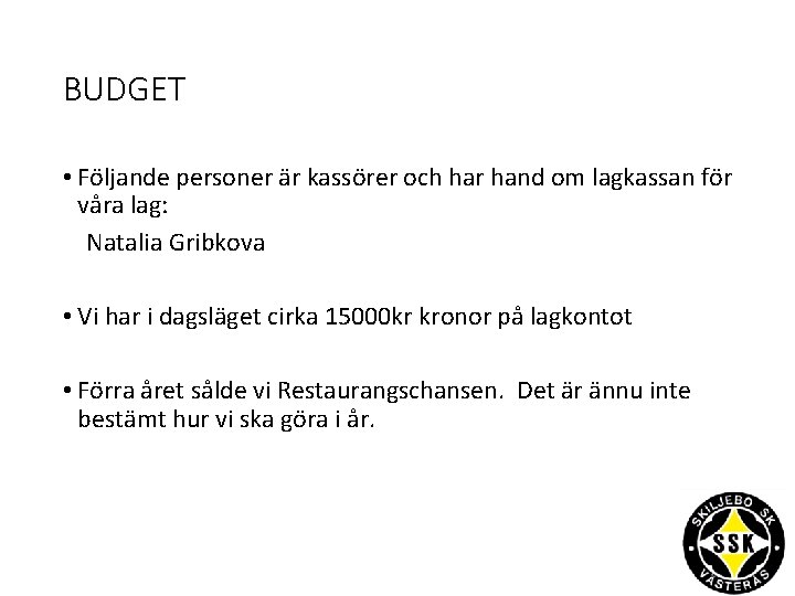 BUDGET • Följande personer är kassörer och har hand om lagkassan för våra lag: