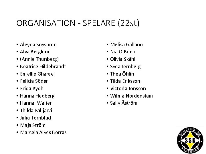 ORGANISATION - SPELARE (22 st) • • • • Aleyna Soysuren Alva Berglund (Annie