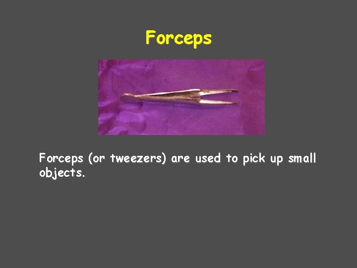 Forceps (or tweezers) are used to pick up small objects. 