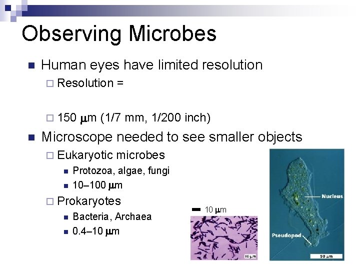 Observing Microbes n Human eyes have limited resolution ¨ Resolution ¨ 150 n =