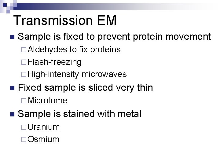 Transmission EM n Sample is fixed to prevent protein movement ¨ Aldehydes to fix