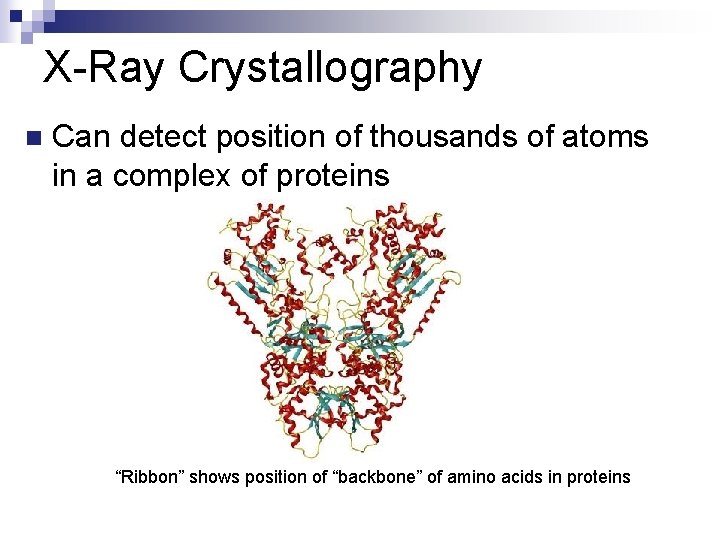 X-Ray Crystallography n Can detect position of thousands of atoms in a complex of