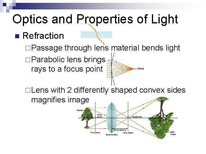 Optics and Properties of Light n Refraction ¨ Passage through lens material bends light