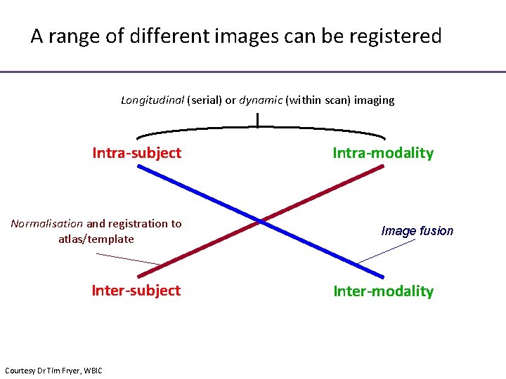 A range of different images can be registered Longitudinal (serial) or dynamic (within scan)