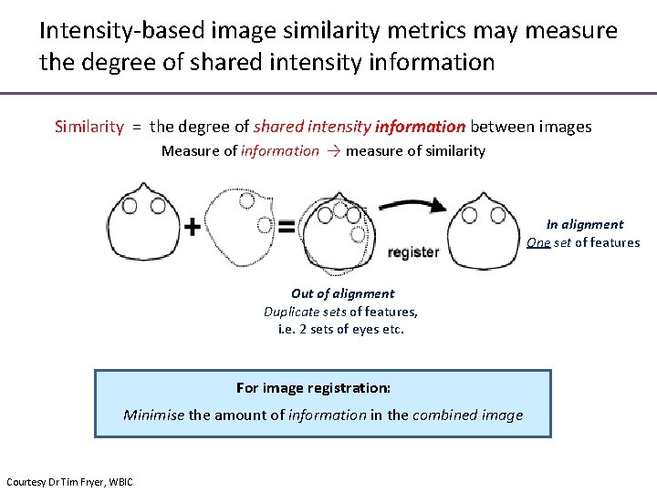 Intensity-based image similarity metrics may measure the degree of shared intensity information Similarity =