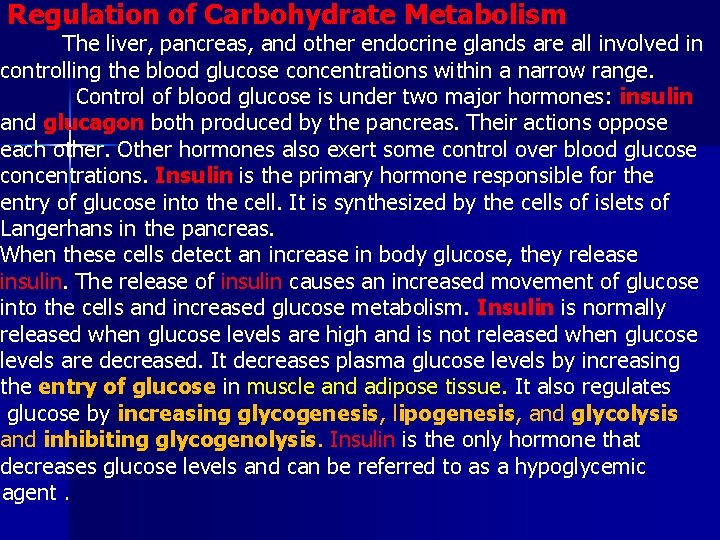 Regulation of Carbohydrate Metabolism The liver, pancreas, and other endocrine glands are all involved