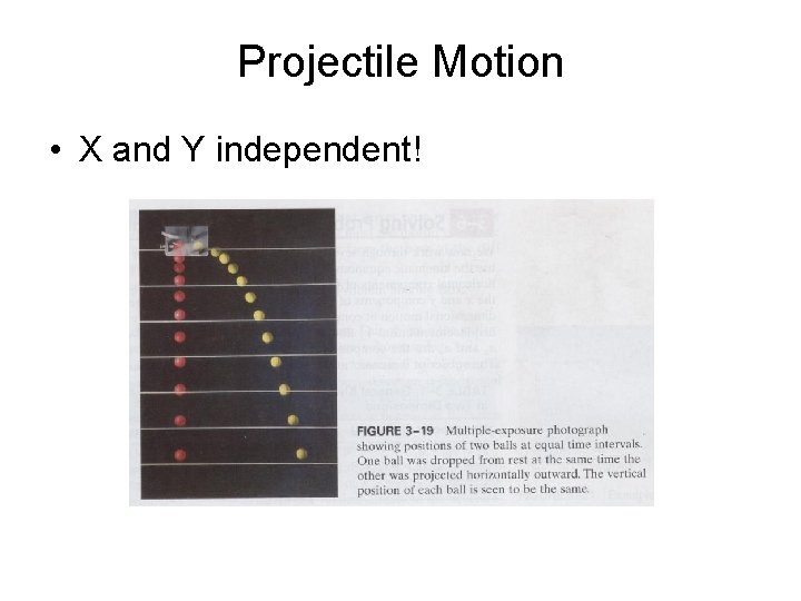 Projectile Motion • X and Y independent! 