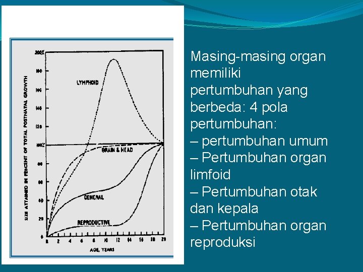 Masing-masing organ memiliki pertumbuhan yang berbeda: 4 pola pertumbuhan: – pertumbuhan umum – Pertumbuhan