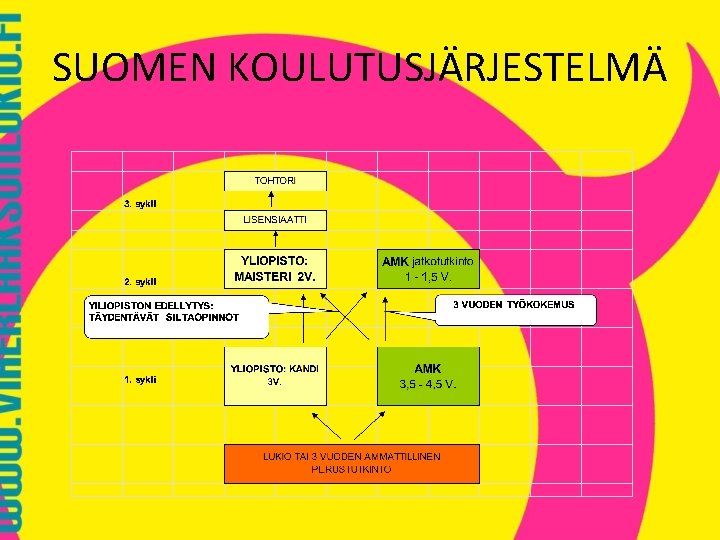 SUOMEN KOULUTUSJÄRJESTELMÄ 